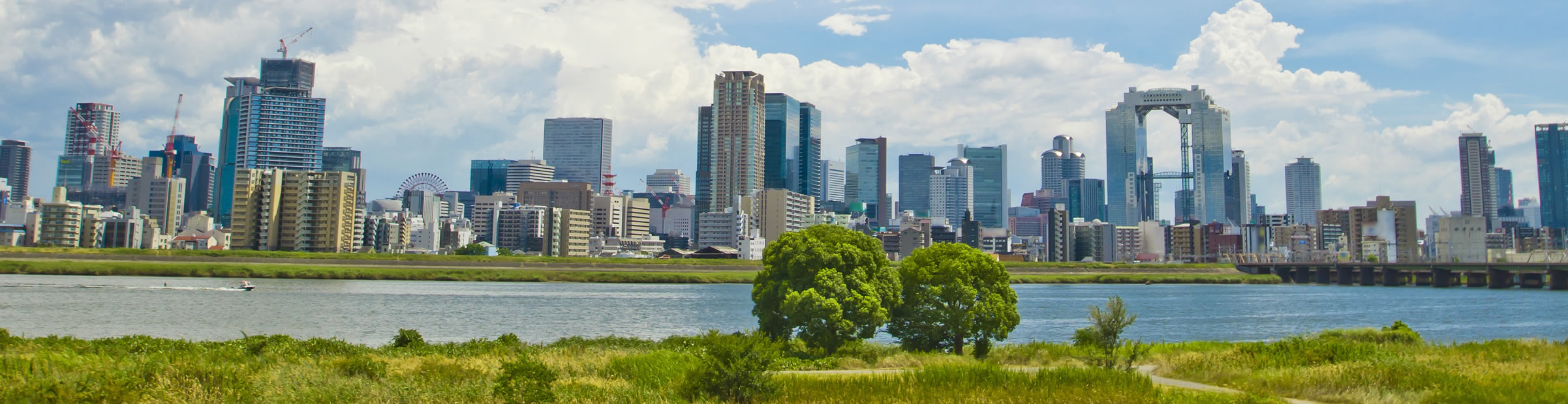 Greeting from the CEO